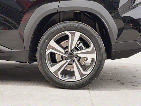 2025�� ���Ĵ� 1.5TD DCT ɽ��