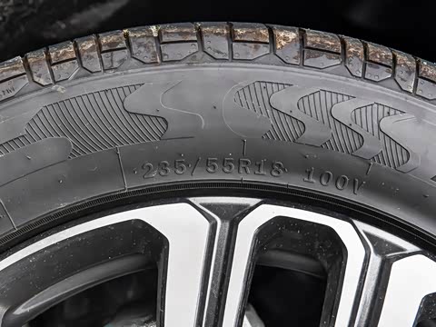 2024�� ������ 290TGDI �Զ����+�� 5��