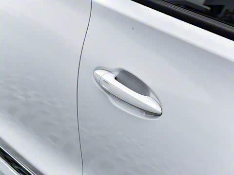 2024�� ������ 290TGDI �Զ����+�� 5��