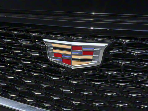 2023�� 25T ������