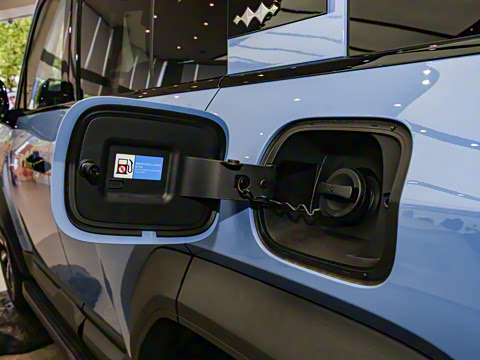 2024�� ����������