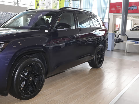 2025�� ;�� Pro 450TSI �����Ƿ��