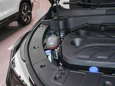 2025�� 1.5T ������