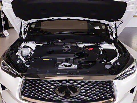 2024�� 2.0T ����������