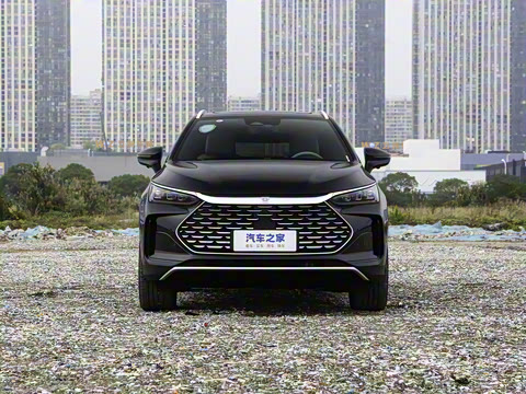 2025�� DM-i 115KM �����콢��