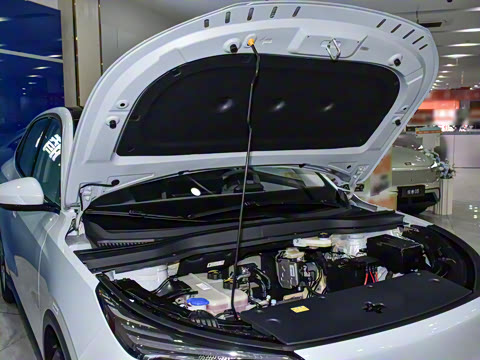 2025�� 445km ��ѡ��