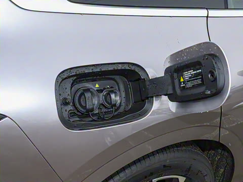 2025�� ���� ����� 230 ������