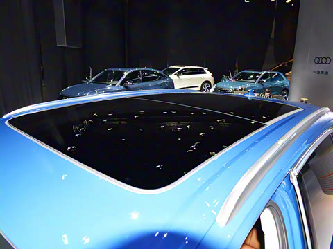 2025�� 55 TFSI quattro S line�����