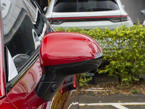 2025�� ���� Pro ���ٸ�����ʻ