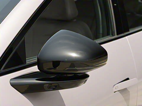 2025�� 502 ������ Max