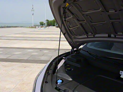 2025�� 502 ������ Max