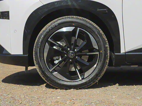 2025�� 520 Pro �����״��