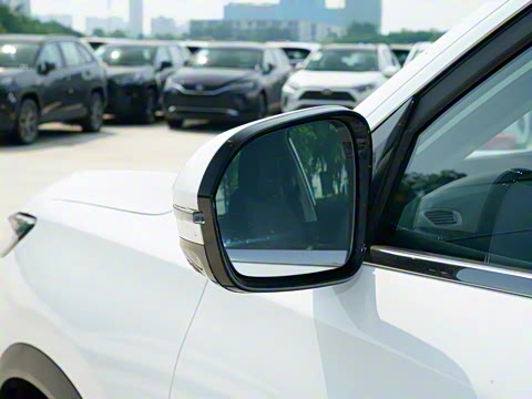 2025�� 290TGDI DCT������ 