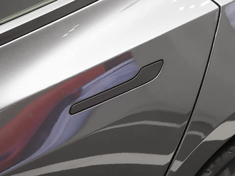 2025�� ����������