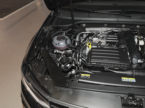 2025�� �Ŀ� ������ 280TSI DSG������