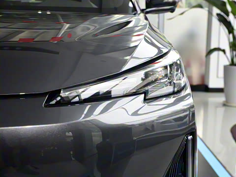 2025�� ����� 125 ��Խ��