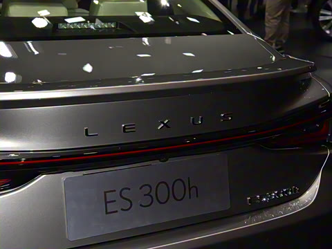 2025�� 300h ������