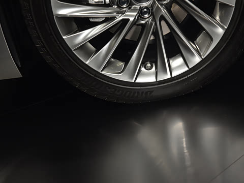 2025�� 300h ������