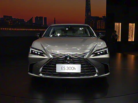 2025�� 300h ������