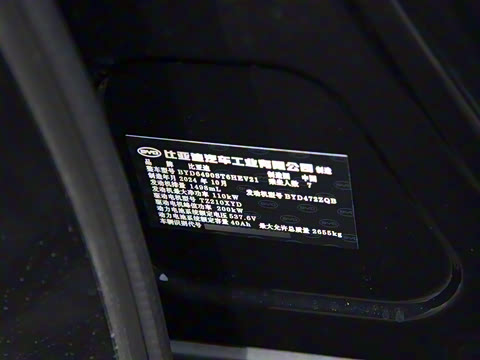 2025�� DM-i 115KM �콢��