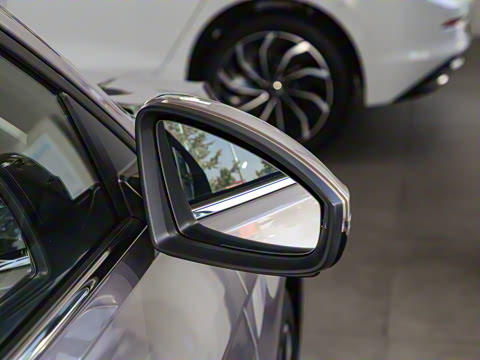 2024�� 200TSI DSG����PRO��