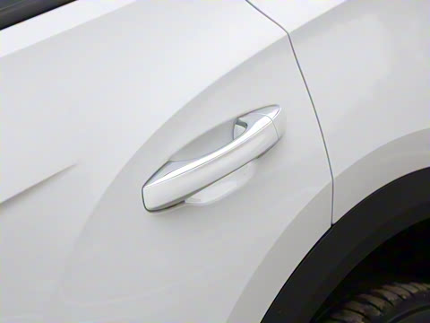 2025�� 300TSI DSG���������