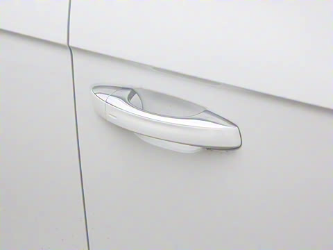 2025�� 300TSI DSG���������