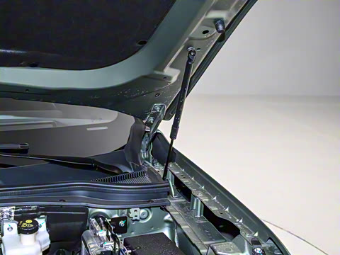 2025�� ������PLUS