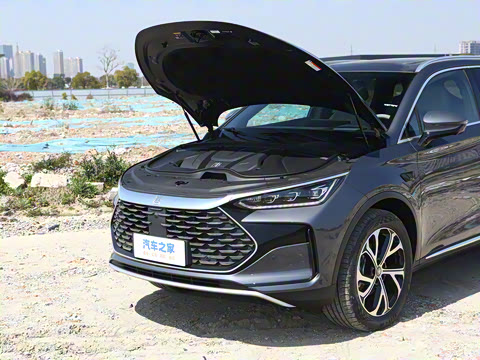 2025�� �Ǽݰ� DM-i 115KM �콢��