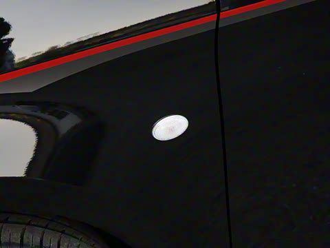 2025�� �����ű���