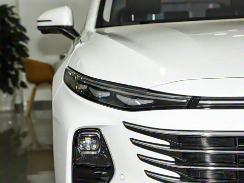 2024�� ���Ĵ� 2.0T �캽��