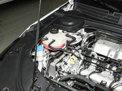 2024�� ���Ĵ� 2.0T �캽��