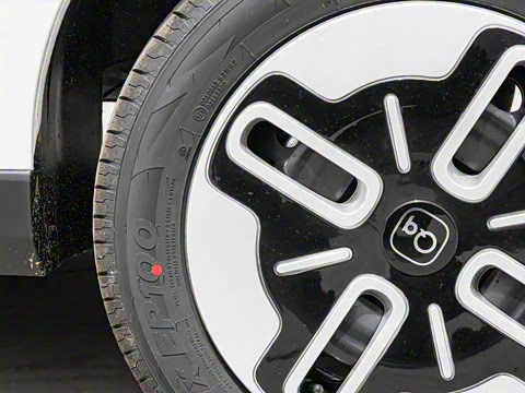 2025�� 305km ������