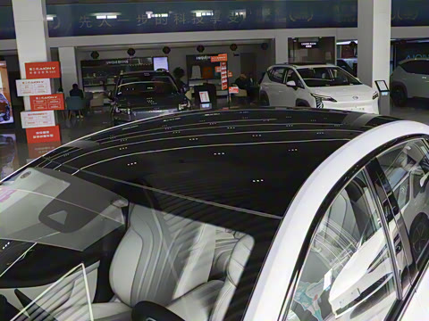 2025�� 520�Ǻ���