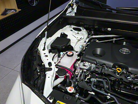 2024�� 2.5L���ܵ��˫�� ��������PLUS��