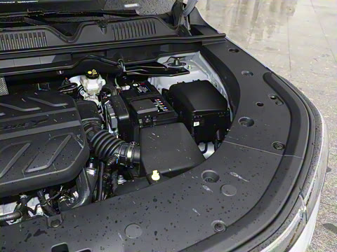 2025�� ���Ĵ� 1.5T ������ �ǻ��콢��