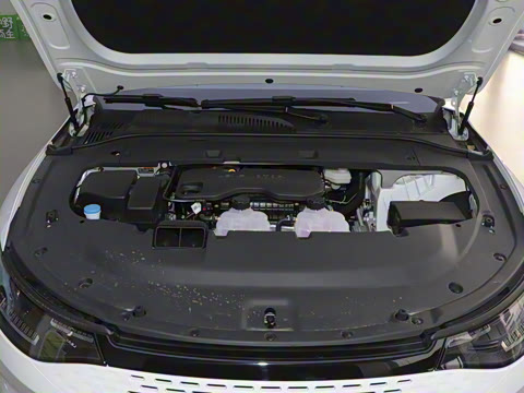 2024�� ���� 216������