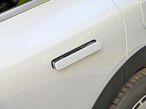 2024�� ������������ ������