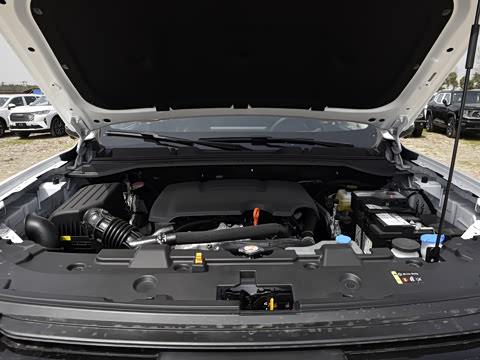 2025�� 2.0T�Զ������촴�� ����