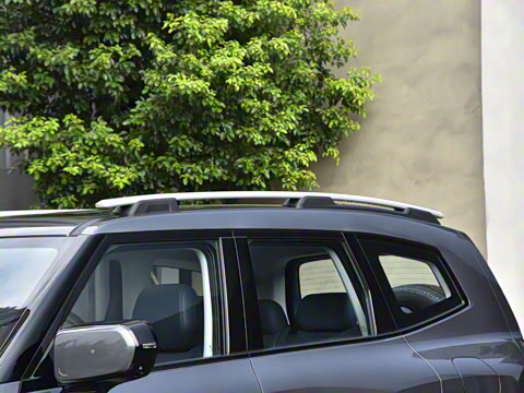 2024�� ����������