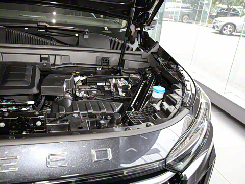 2025�� 400T ������ҫ�� 7��