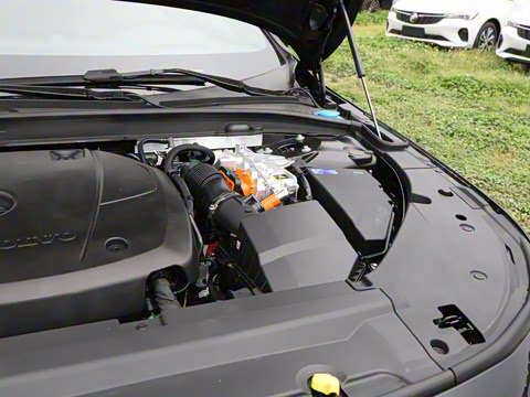 2026�� ���ʽ�춯 �������������ź�����