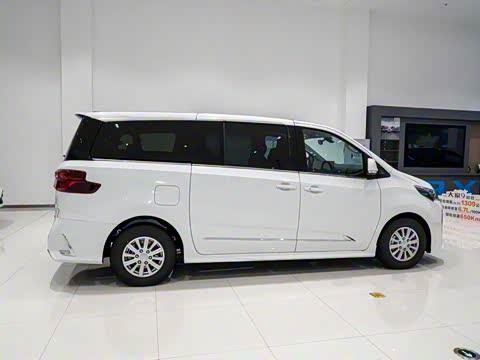 2025�� MAX 2.0T �Զ������� ���� 7��