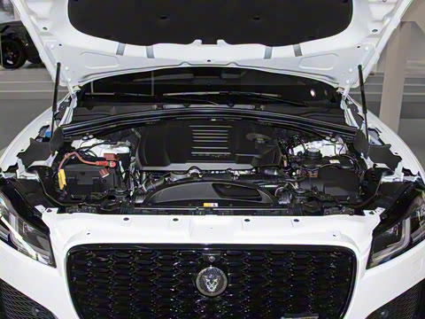 2025�� P250 R-Dynamic SE