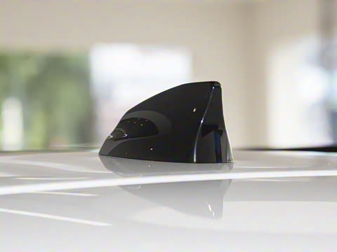 2025�� P250 R-Dynamic SE