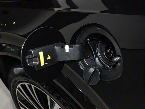 2025�� T8 ��������� 7��