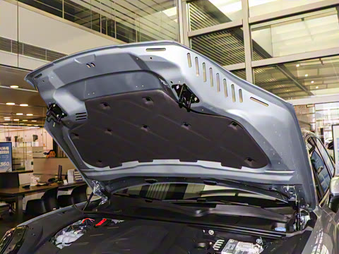 2025�� Cayenne 3.0T ���ΰ�