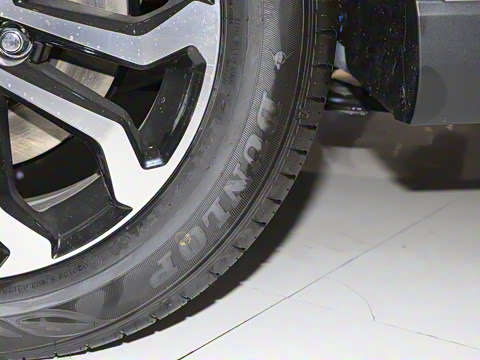 2024�� 2.0L ���ܵ��˫�� ������