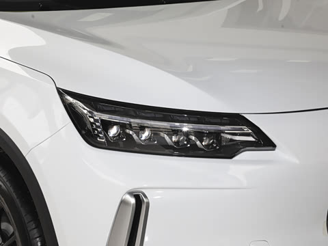 2024�� 520 ��ҫ��