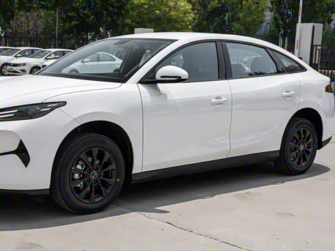 2025�� 520�ǻݰ�